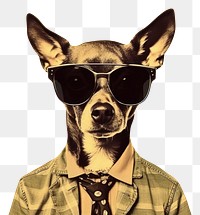 PNG Minimal dreamy retro college with happy chihuahua sunglasses mammal animal.