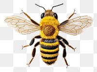 PNG The bee in embroidery style animal insect hornet