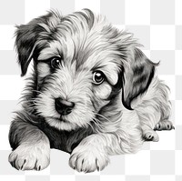 PNG Dog in embroidery style drawing mammal animal.