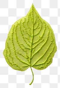 PNG The leaf in embroidery style plant clothing knitwear.