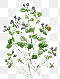 PNG The plant in embroidery style pattern freshness fragility.