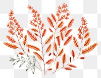PNG Plant in embroidery style needlework pattern art.