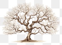 PNG The tree in embroidery style drawing sketch plant.