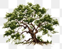 PNG Tree in embroidery style drawing sketch plant.