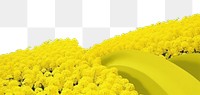 PNG Rapeseed field sky outdoors flower. AI generated Image by rawpixel.