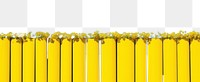 PNG Rapeseed field outdoors nature fence. AI generated Image by rawpixel.