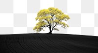 PNG Rapeseed field plant tree sky. AI generated Image by rawpixel.