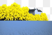 PNG Rapeseed field sky landscape outdoors. AI generated Image by rawpixel.