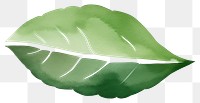 PNG A tree leaf plant white background herbal.