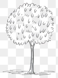 PNG A tree drawing sketch white.