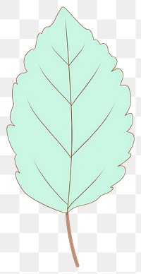 PNG Tree leaf cartoon plant line.