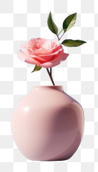 PNG Rose vase flower plant.
