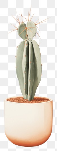 PNG Cactus plant houseplant flowerpot.
