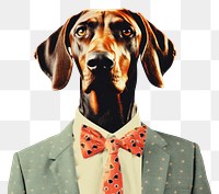PNG  Collage Retro dreamy of dog business animal mammal hound.