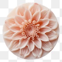 PNG Seal Wax Stamp dahlia flower plant accessories.