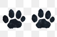 PNG  Paw imprint backgrounds wall architecture