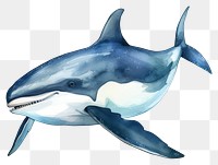 PNG  PNG  Dolphin animal mammal shark. AI generated Image by rawpixel.