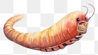 PNG Sand worm animal invertebrate caterpillar. AI generated Image by rawpixel.