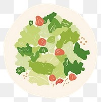 PNG  Illustration of salad vegetable lettuce plant.