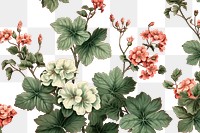 PNG Toile wallpaper a single Geranium geranium pattern flower.