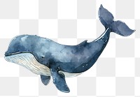 PNG Animal mammal whale fish