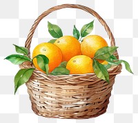 PNG Orange basket clementine grapefruit.