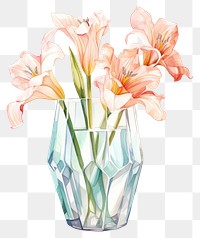 PNG Lilies vase flower plant.
