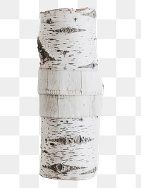 PNG Birch Tree tree cylinder white.