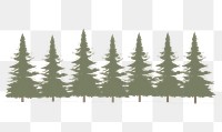 PNG  Illustration of pine tress border sketch plant tree.