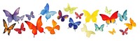 PNG Butterflies butterfly animal insect.