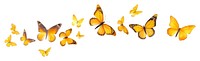 PNG Golden butterflies butterfly animal insect.