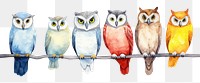 PNG Owls animal bird white background.