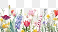 PNG Pastel flowers backgrounds outdoors blossom.