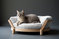 Cat bed png mockup, transparent design