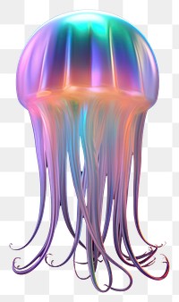 PNG Sea squid jellyfish animal invertebrate.