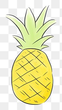 PNG Pineapple drawing fruit plant.