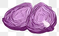PNG Cabbage vegetable drawing line.