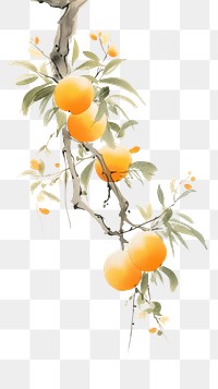 PNG Ink painting minimal of fruit plant clementine grapefruit