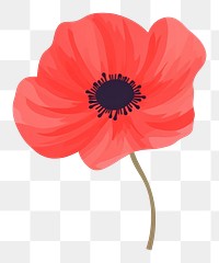 PNG A red anemone flower poppy petal.