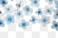 PNG  Real pressed blue cherry blossom flowers backgrounds nature plant.