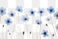 PNG  Real pressed blue flowers outdoors nature petal