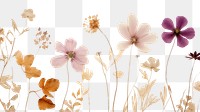 PNG  Real pressed chinese flowers backgrounds pattern petal