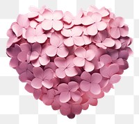 PNG Heart flower plant white background.