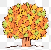 PNG Fall tree cartoon drawing plant.