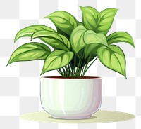 PNG Indoor plant cartoon leaf white background.