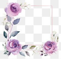 PNG Purple rose square border pattern flower plant. AI generated Image by rawpixel.