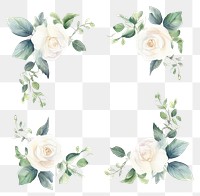 PNG Little white rose square border pattern backgrounds flower