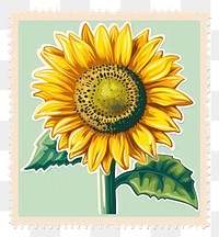 PNG Modern vector postage stamp with sunflower plant inflorescence blackboard.