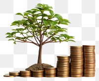 PNG Money with a graph growth bonsai plant.