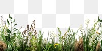 PNG Nature border backgrounds outdoors flower.